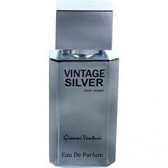 Vintage Silver by Gianni Venturi