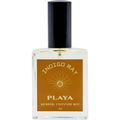 Playa by Indigo Ray