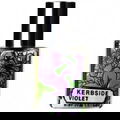 Kerbside Violet
