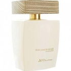 Bergamote Boisée by Au Pays de la Fleur d'Oranger