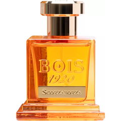 Scorzaforza von Bois 1920