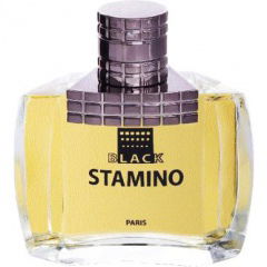 Stamino Black by Prime Collection