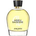 Adieu Sagesse (2014) von Jean Patou
