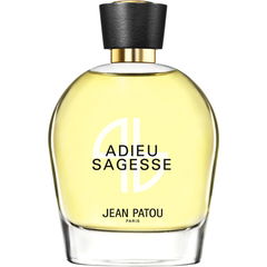 Adieu Sagesse (2014) von Jean Patou