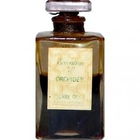 Evocation d'Orchidée von Pierre Dune