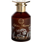 Betula von Olfactive Pharmacy