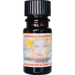 The Things We Do Make Echoes von Black Phoenix Alchemy Lab