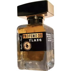 Profumo de Ylang by Atelier Segall & Barutti