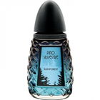 Rainforest by Pino Silvestre