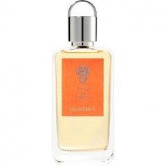Dianthus by Acqua di Stresa