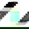 Commando von Smell Bent