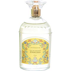 Finocchio von Cologne & Cotton