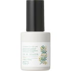 Mimosa (2023) / ミモザ von Osaji