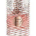 Desert Angel Romance by Le Chameau