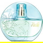 chaînon / シェノン von d'ici là