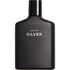 Zara Man Silver (Eau de Toilette)