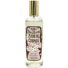 Fleur de cerisier von Honoré Payan