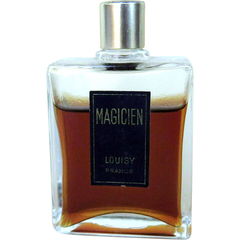 Magicien by Louisy