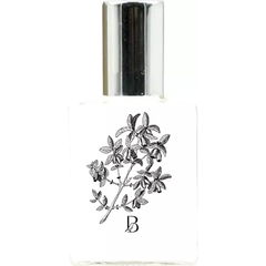 Honeysuckle by Birdbath