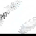 Crystal Bloom Snow / クリスタルブルーム スノー (Eau de Parfum) von Jill Stuart