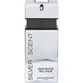 Silver Scent Infinite Silver (Eau de Toilette)