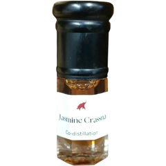 Jasmine Crassna Laos Batch by Zakir Gafur