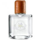 Ipo by Saffron James