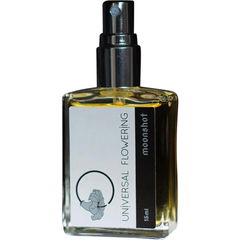 Moonshot von Universal Flowering
