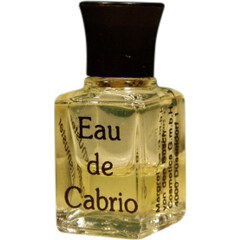 Eau de Cabrio by Margret von den Busch Eau de Cabrio by Margret von den Busch