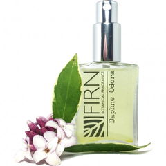 Daphne Odora von Firn Botanical Fragrance
