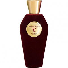 Mandragola by V Canto