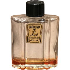 Gardenia von Ivel