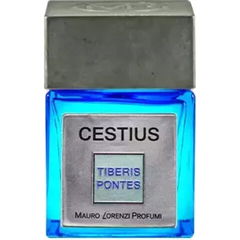 Tiberis Pontes - Cestius by Mauro Lorenzi