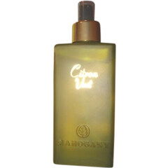 Royal Emirates by Holy Oud Royal Emirates by Holy Oud