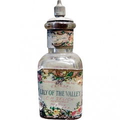 Lily of the Valley von C. H. Selick