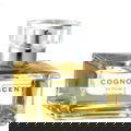 Scent 16 von Cognoscenti