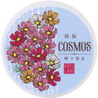 Autumn Cherry Blossom (Kosmos) / 秋桜(コスモス) von Kotolabo