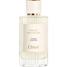 Herba Mimosa by Chloé