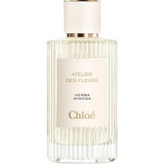 Herba Mimosa von Chloé