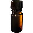 Honeybelle (Perfume Oil) von Haus of Gloi