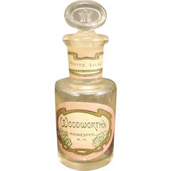 White Lilac von C. B. Woodworth & Sons Co.