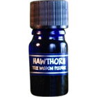 Tree Wisdom Perfume - Hawthorn von Star Child