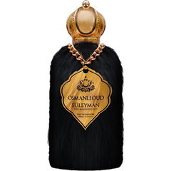 Süleyman the Magnificent von Osmanlı Oud