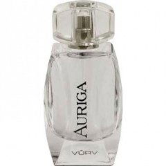 Auriga (silver) von Vûrv