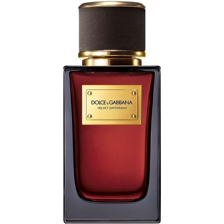 Velvet Zafferano von Dolce & Gabbana