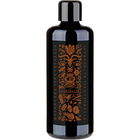 Garibaldi by Abbate y La Mantia