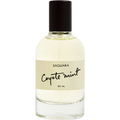 Coyote Mint by Saguara