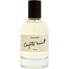 Coyote Mint by Saguara