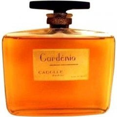 Gardénia von Cadolle
