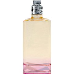 Orange Smoke by Dries Van Noten